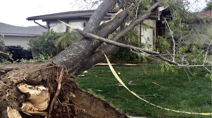 Richmond Storm Season Guide: 7 Tips to Prepare