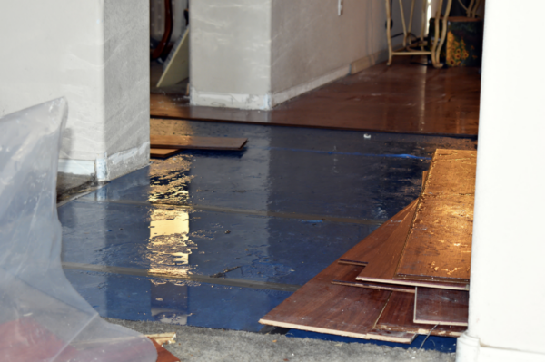 When to Call Professionals for Water Damage